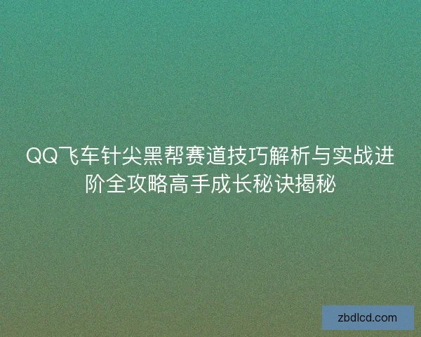 QQ飞车针尖黑帮赛道技巧解析与实战进阶全攻略高手成长秘诀揭秘